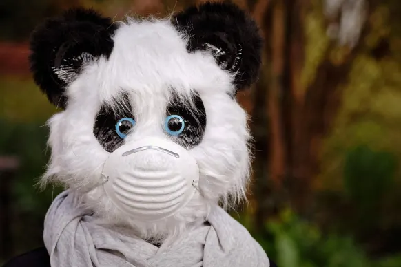 Oppa88888888 Cazino Cazinou Suport